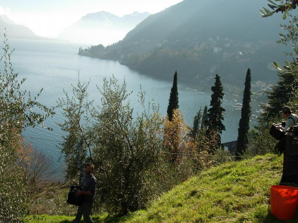Вілла Casa Indipendente "Il Sole Delle Grigne" Белладжо Екстер'єр фото